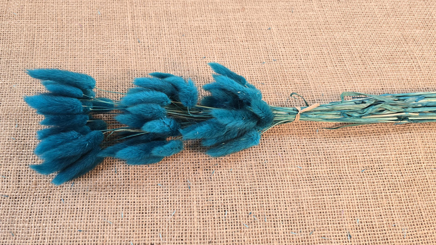 60 Blue Dried Bunny Tail Grass Stems: Boho Wedding Decor
