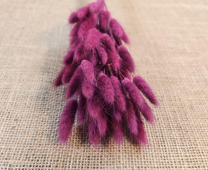 60 Dried Bunny Tail Grass Stems: Natural Boho Wedding Decor