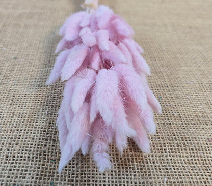 60 Dried Bunny Tail Grass Stems: Natural Boho Wedding Decor