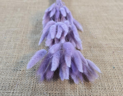 60 Dried Bunny Tail Grass Stems: Natural Boho Wedding Decor