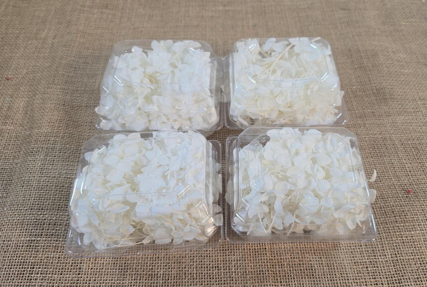 Preserved White Hydrangea: Real Dried Wedding Flowers