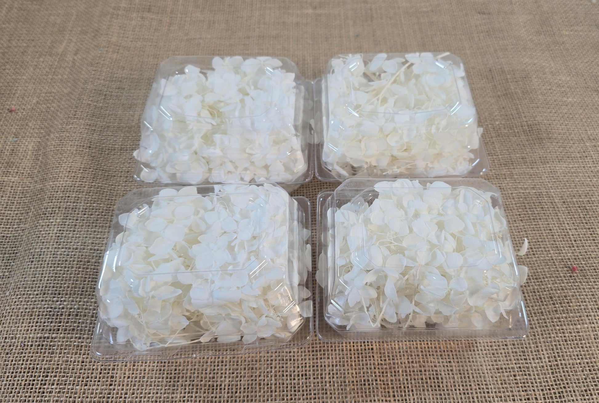 Preserved White Hydrangea: Real Dried Wedding Flowers