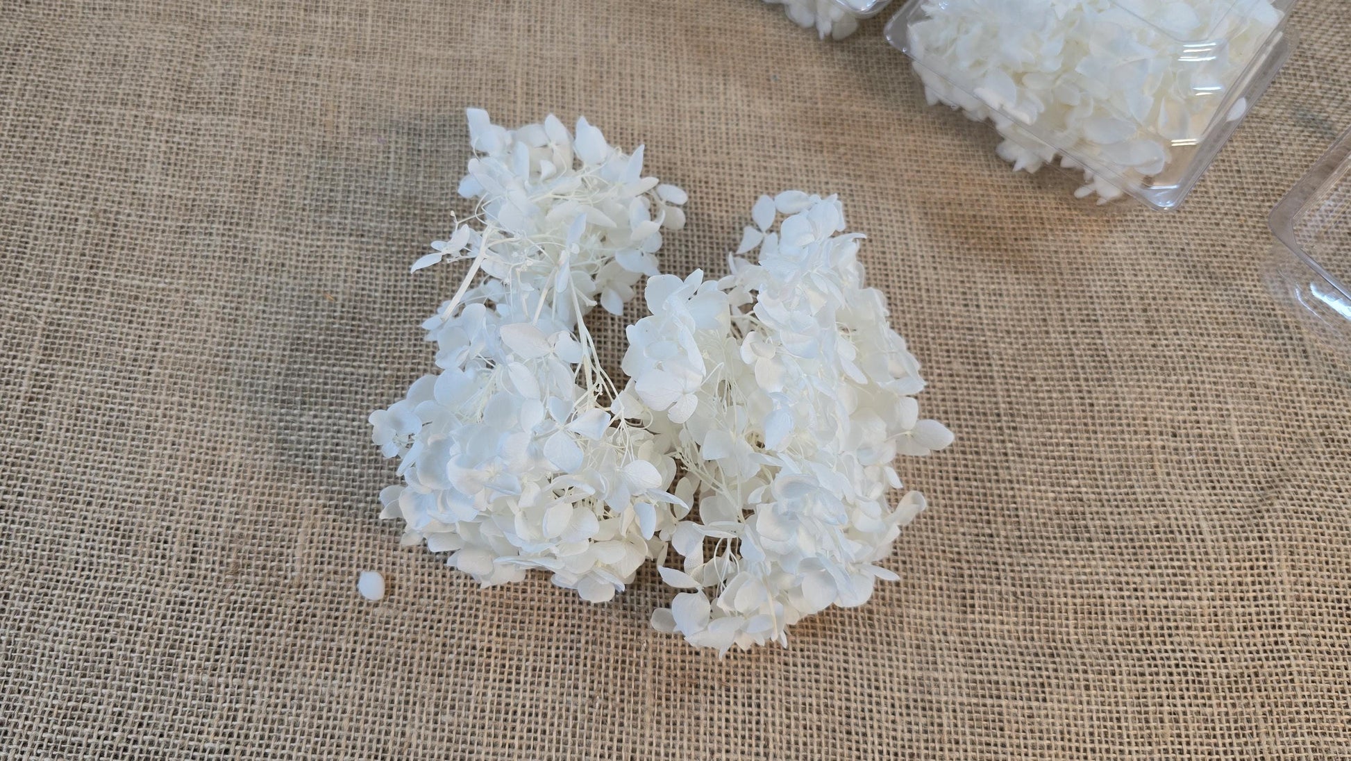 Preserved White Hydrangea: Real Dried Wedding Flowers