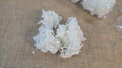 Preserved White Hydrangea: Real Dried Wedding Flowers