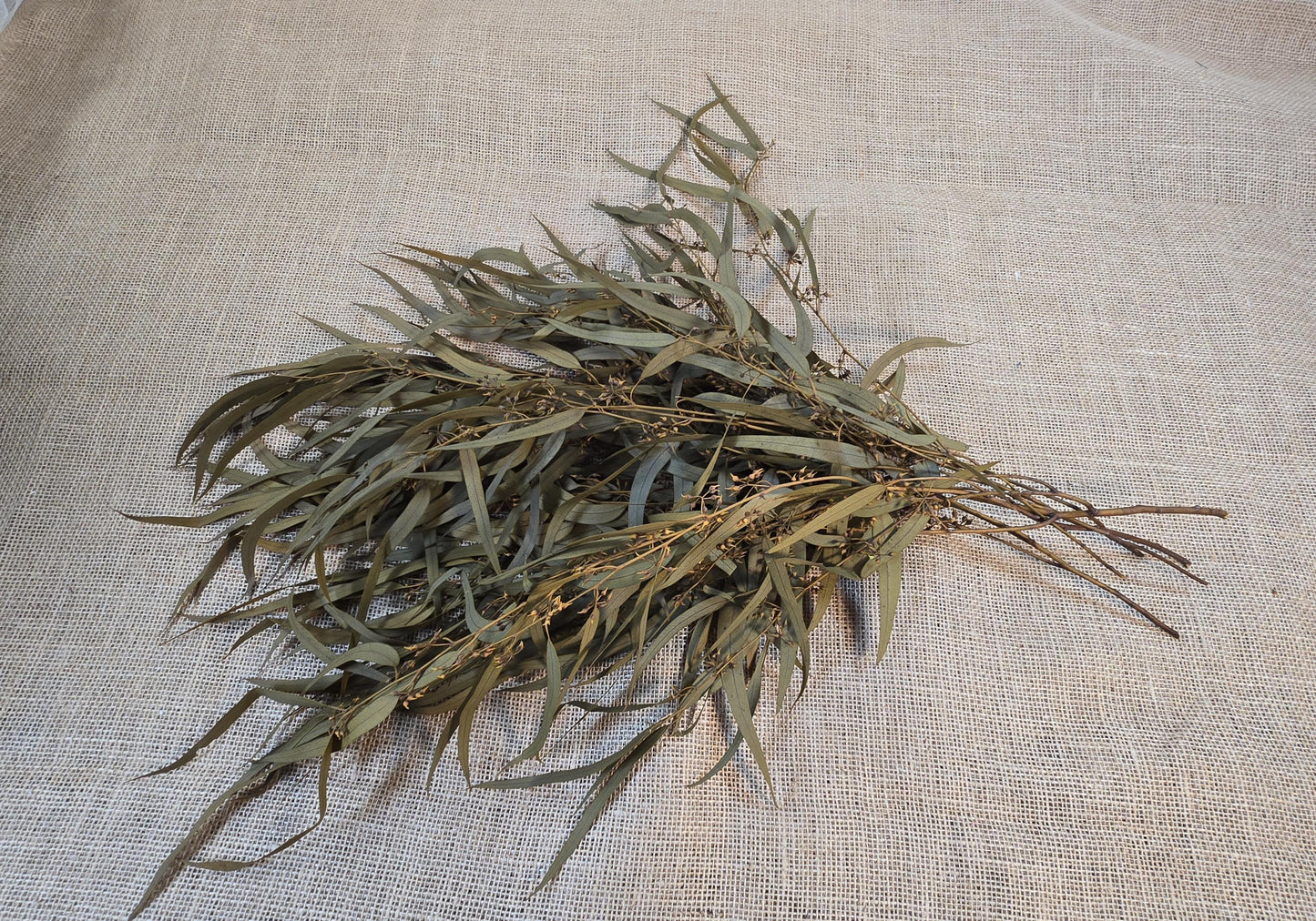 Yellow Preserved Eucalyptus Olive Seeded Willow Leaves for Indoor Home & Office Decor; Millet Leaf Party Decoration Plants