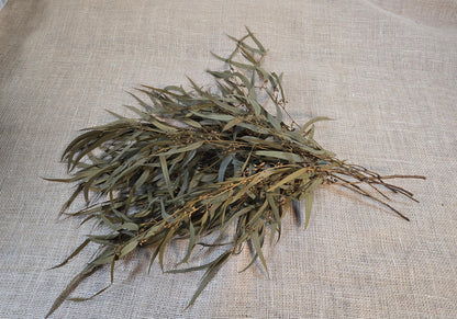 Yellow Preserved Eucalyptus Olive Seeded Willow Leaves for Indoor Home & Office Decor; Millet Leaf Party Decoration Plants