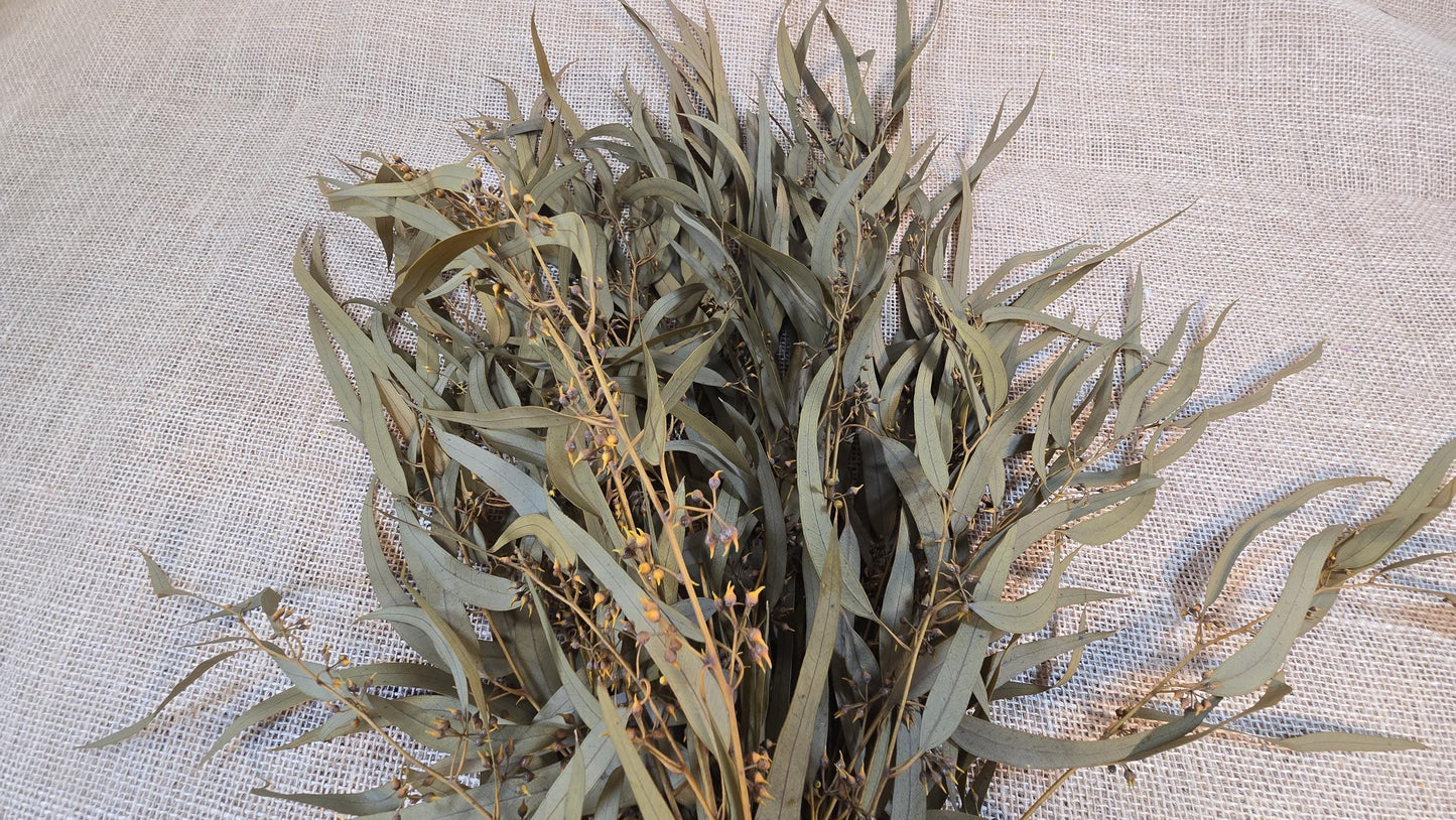 Yellow Preserved Eucalyptus Olive Seeded Willow Leaves for Indoor Home & Office Decor; Millet Leaf Party Decoration Plants