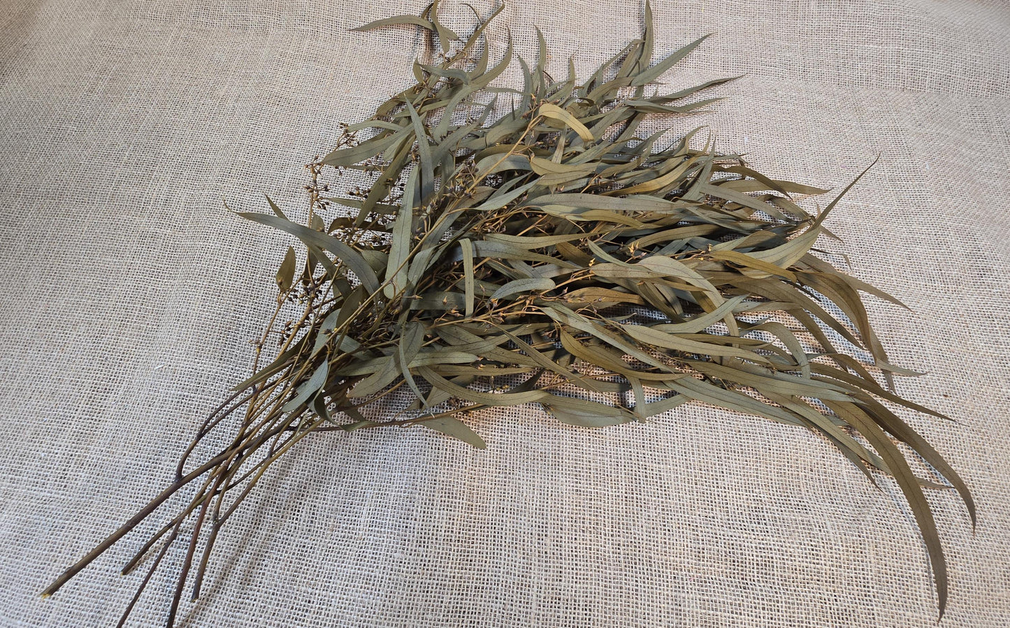 Yellow Preserved Eucalyptus Olive Seeded Willow Leaves for Indoor Home & Office Decor; Millet Leaf Party Decoration Plants