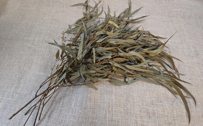 Yellow Preserved Eucalyptus Olive Seeded Willow Leaves for Indoor Home & Office Decor; Millet Leaf Party Decoration Plants