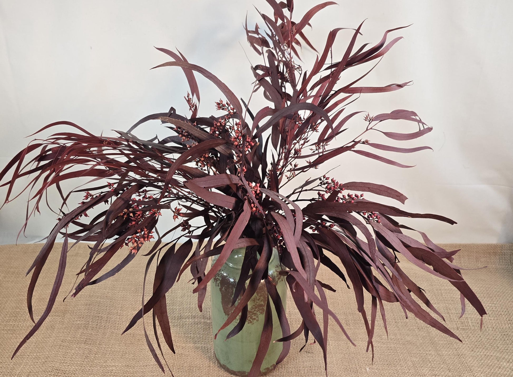 Red Preserved Eucalyptus & Willow Leaves: Rustic Home Decor