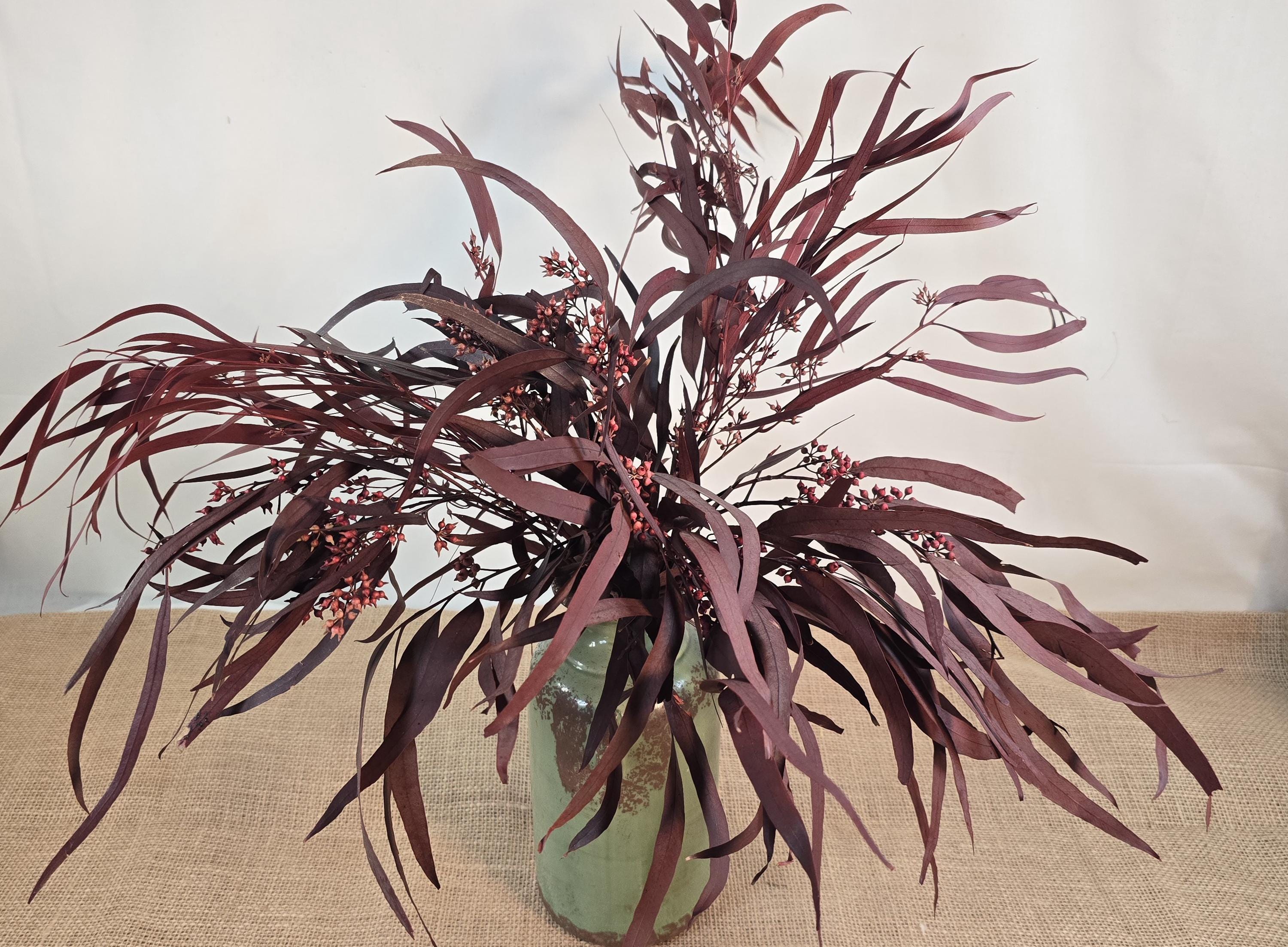 Red Preserved Eucalyptus & Willow Leaves: Rustic Home Decor
