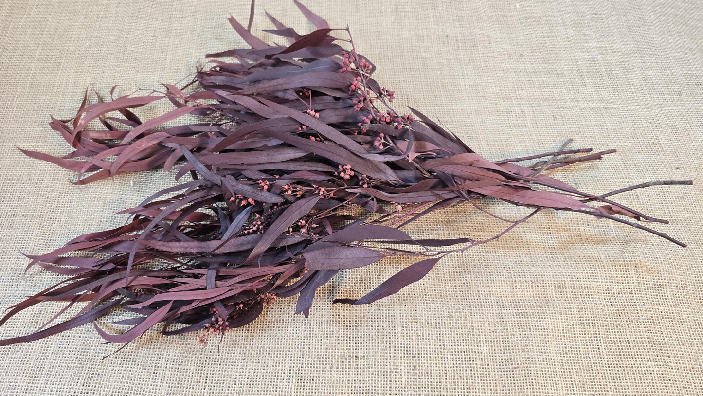 Red Preserved Eucalyptus & Willow Leaves: Rustic Home Decor