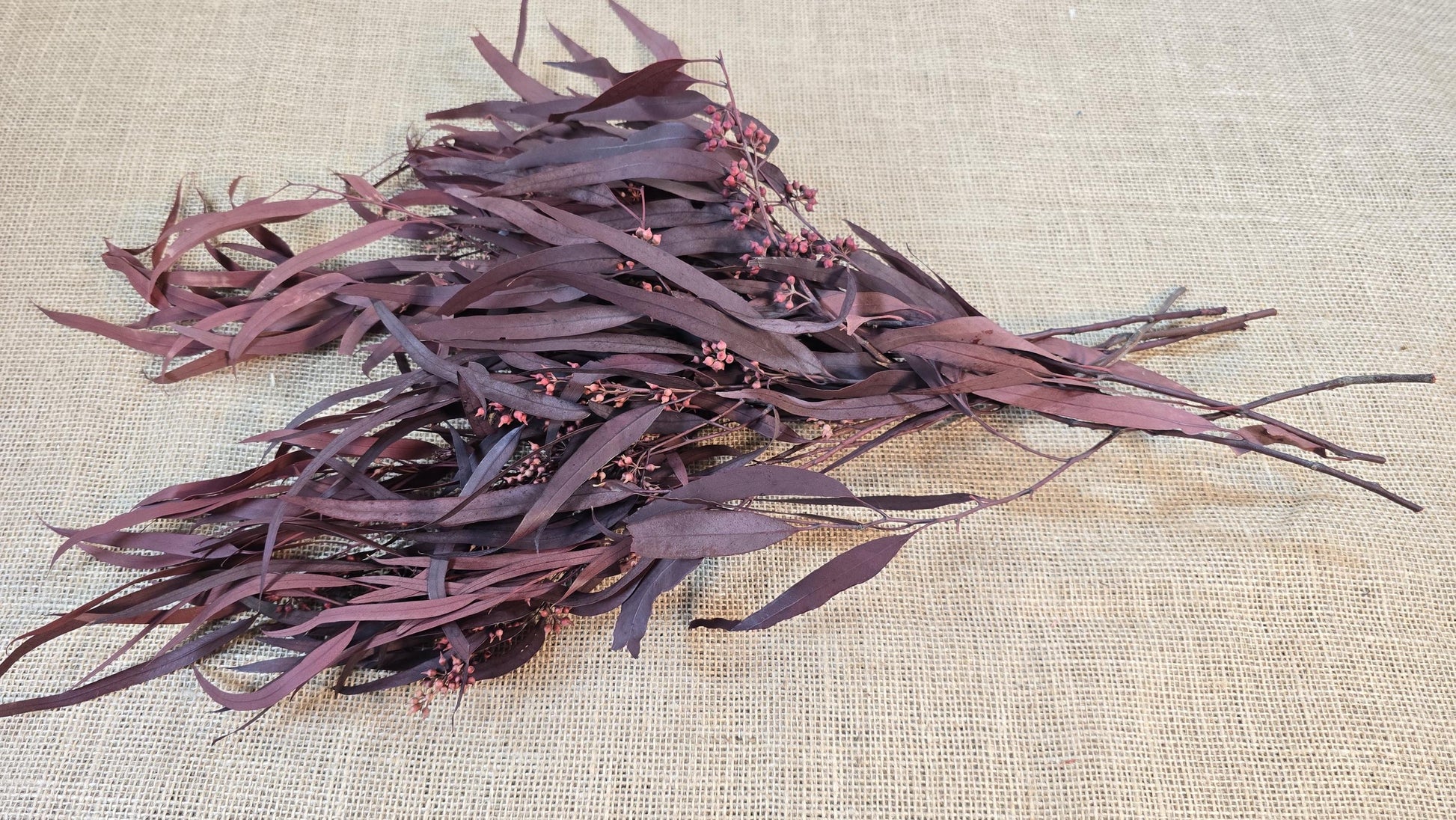Red Preserved Eucalyptus & Willow Leaves: Rustic Home Decor