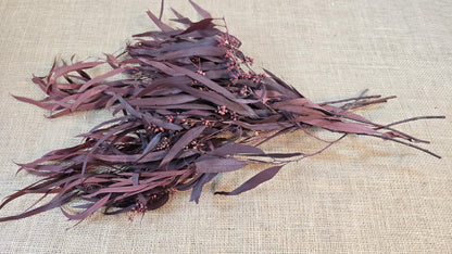 Red Preserved Eucalyptus & Willow Leaves: Rustic Home Decor
