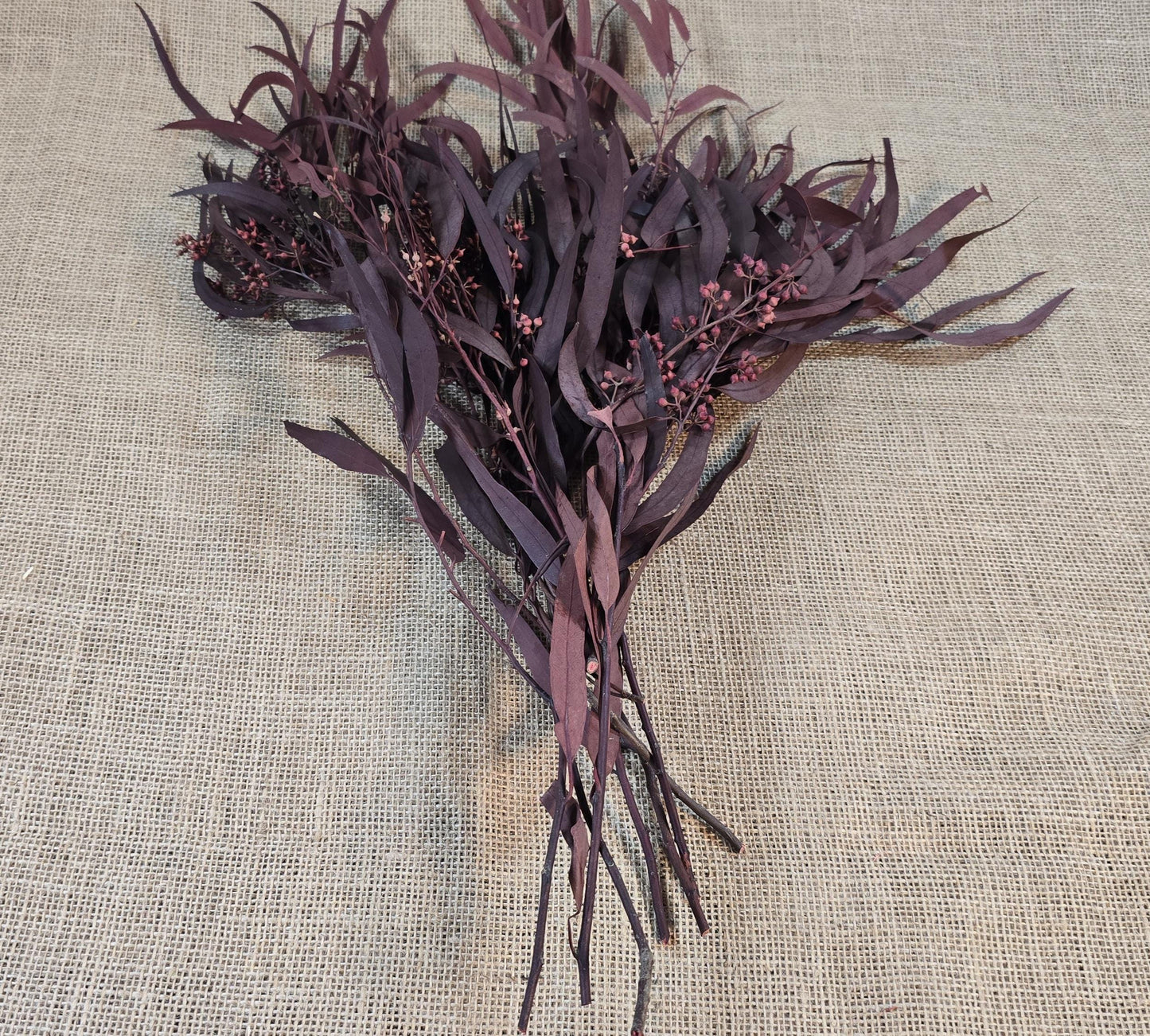 Red Preserved Eucalyptus & Willow Leaves: Rustic Home Decor