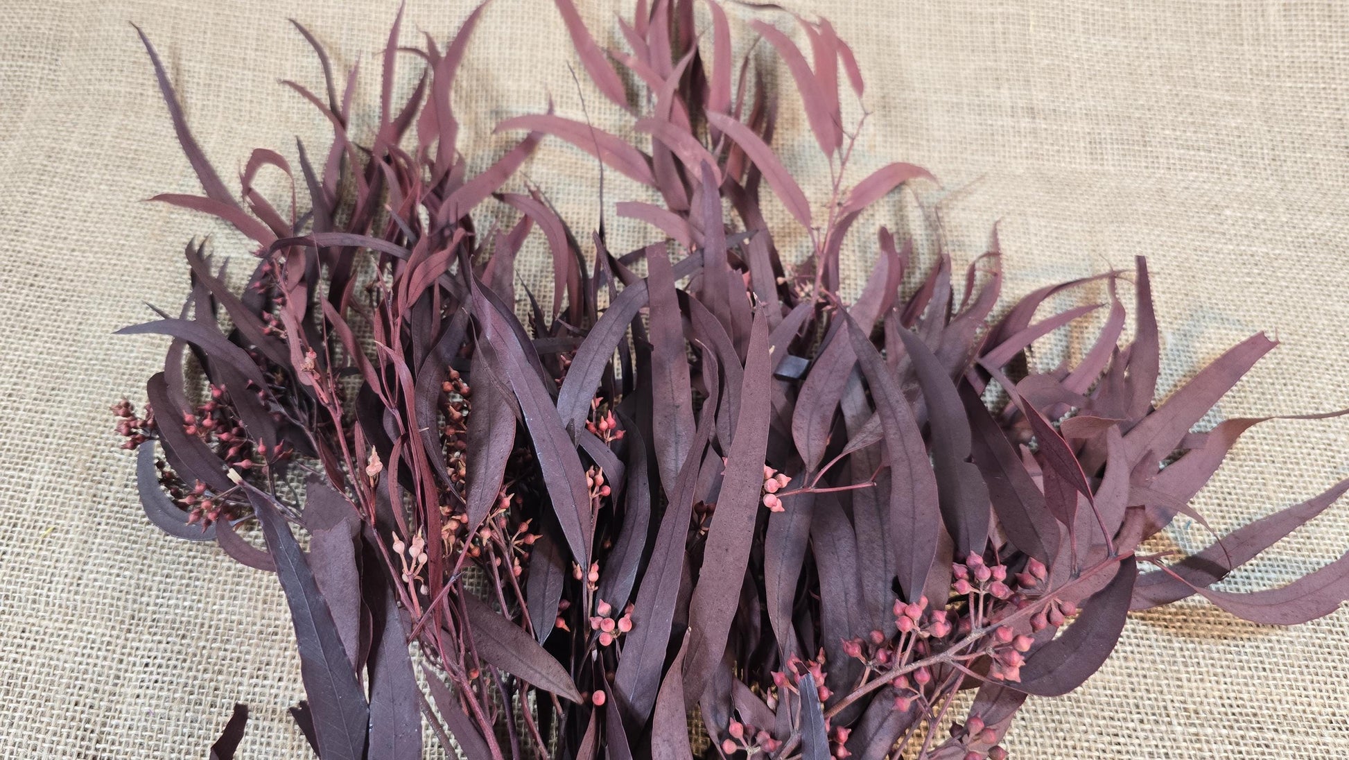 Red Preserved Eucalyptus & Willow Leaves: Rustic Home Decor