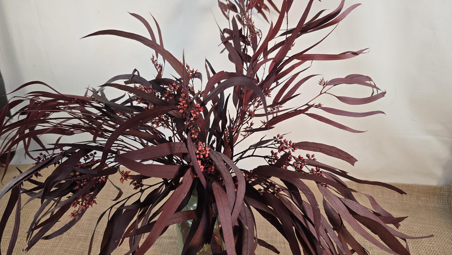 Red Preserved Eucalyptus & Willow Leaves: Rustic Home Decor