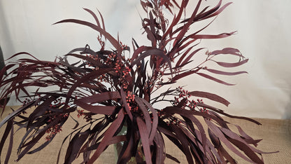 Red Preserved Eucalyptus & Willow Leaves: Rustic Home Decor
