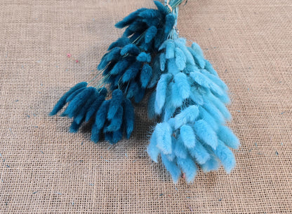 60 Blue Dried Bunny Tail Grass Stems: Boho Wedding Decor