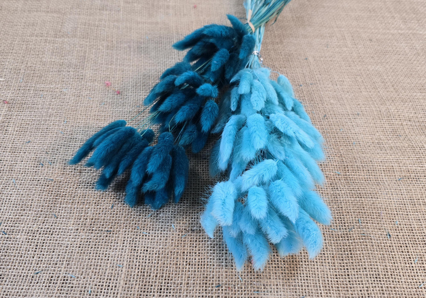 60 Blue Dried Bunny Tail Grass Stems: Boho Wedding Decor