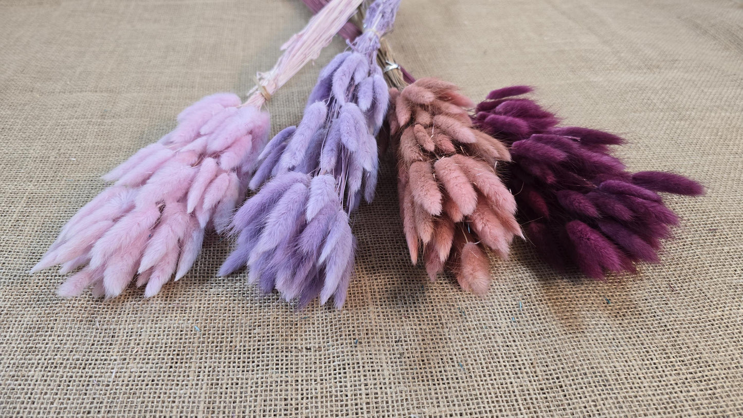 60 Dried Bunny Tail Grass Stems: Natural Boho Wedding Decor