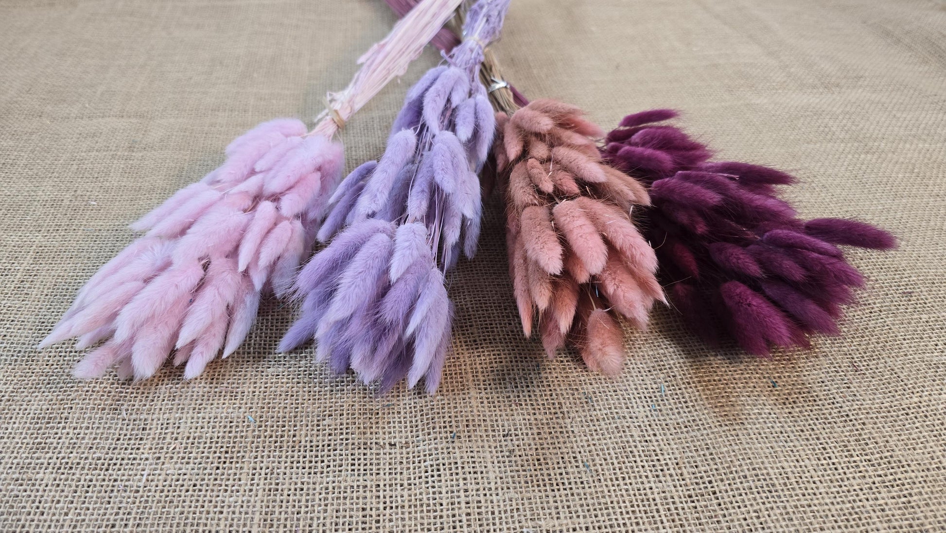60 Dried Bunny Tail Grass Stems: Natural Boho Wedding Decor