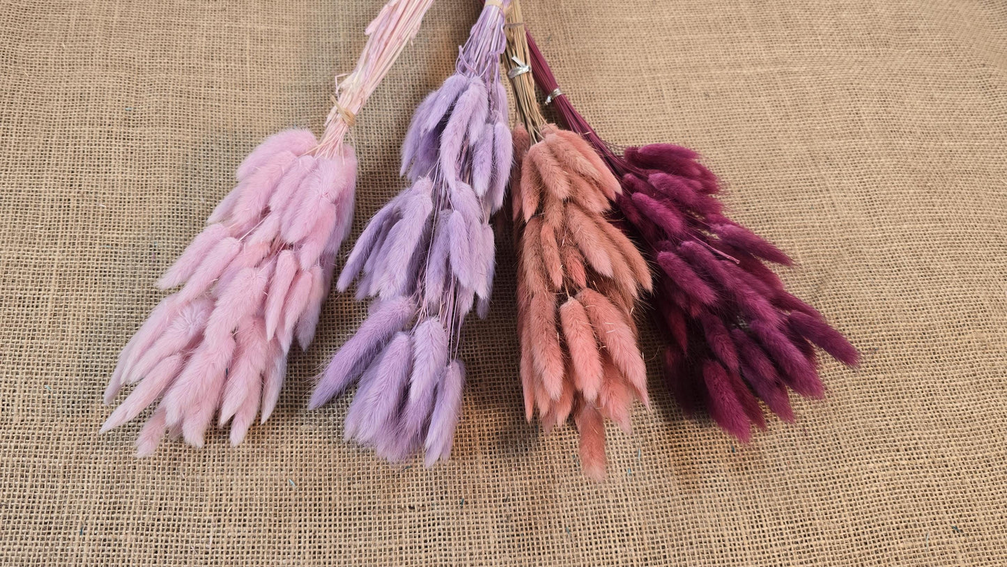 60 Dried Bunny Tail Grass Stems: Natural Boho Wedding Decor
