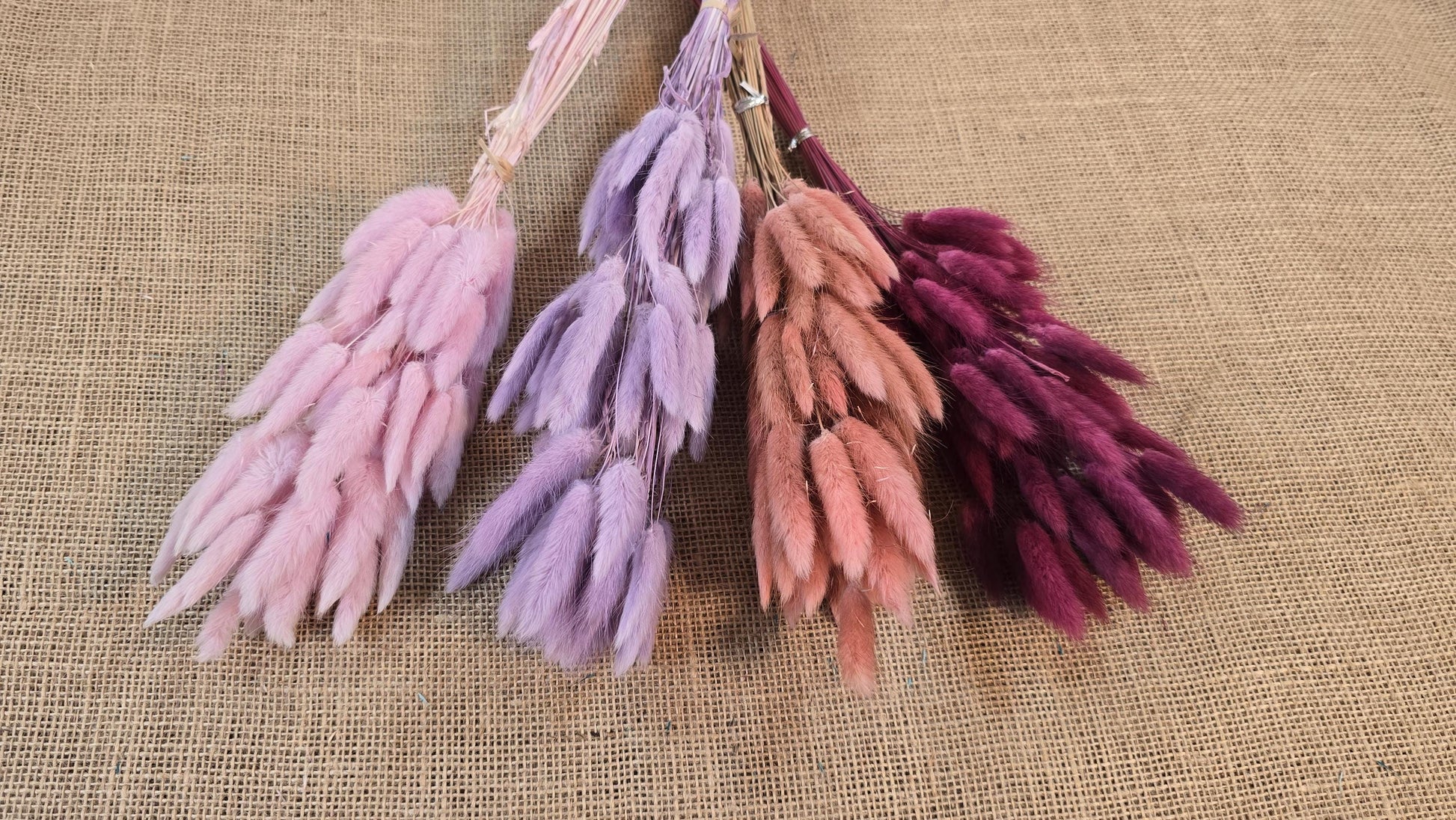 60 Dried Bunny Tail Grass Stems: Natural Boho Wedding Decor