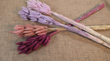 60 Dried Bunny Tail Grass Stems: Natural Boho Wedding Decor