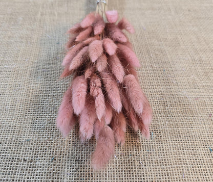 60 Dried Bunny Tail Grass Stems: Natural Boho Wedding Decor