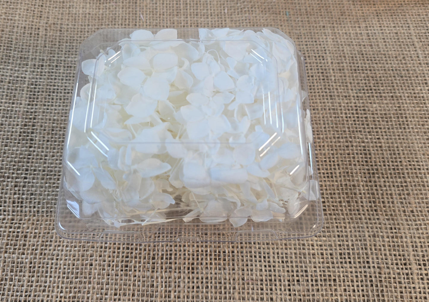 Preserved White Hydrangea: Real Dried Wedding Flowers