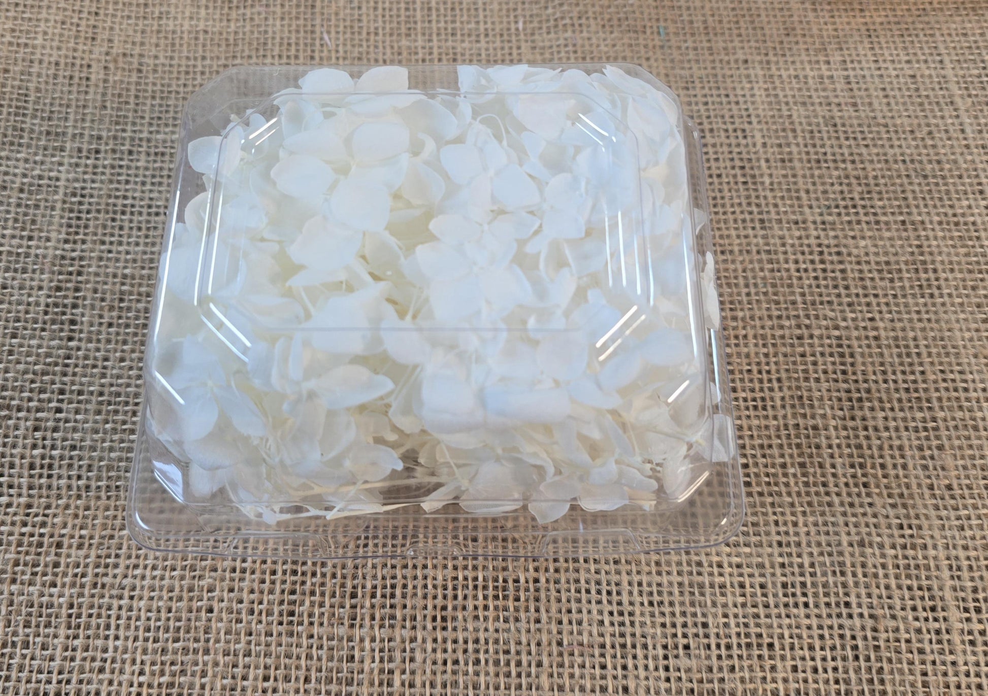 Preserved White Hydrangea: Real Dried Wedding Flowers