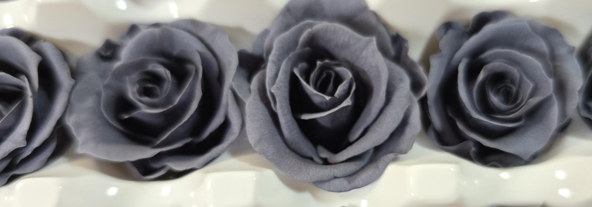 Black Preserved Roses - 21 Pack - Wedding, Prom, Christmas