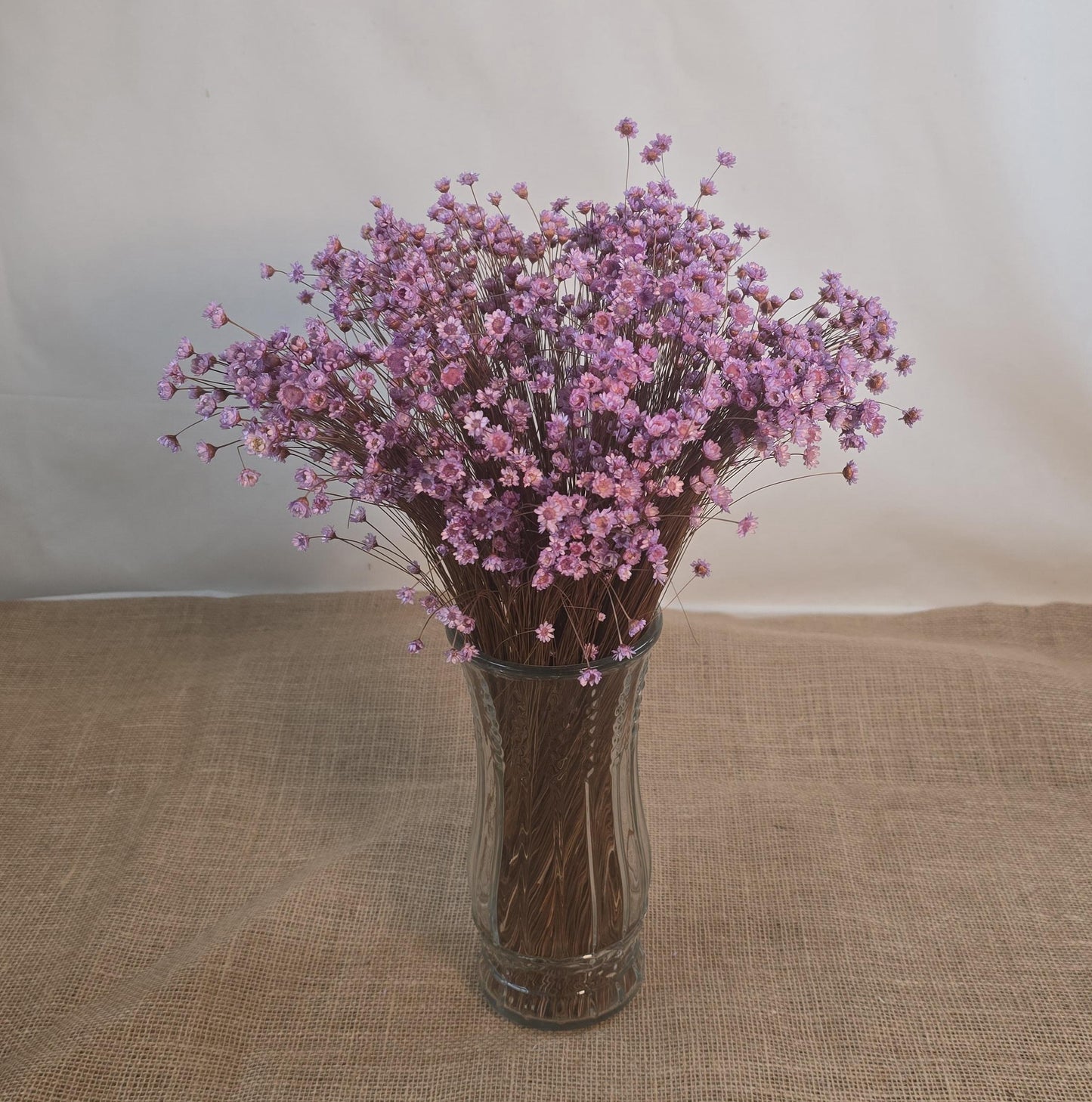 Pastel Dried Star Flowers: Wedding & Home Decor, 12" Tall