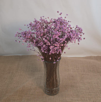 Pastel Dried Star Flowers: Wedding & Home Decor, 12" Tall