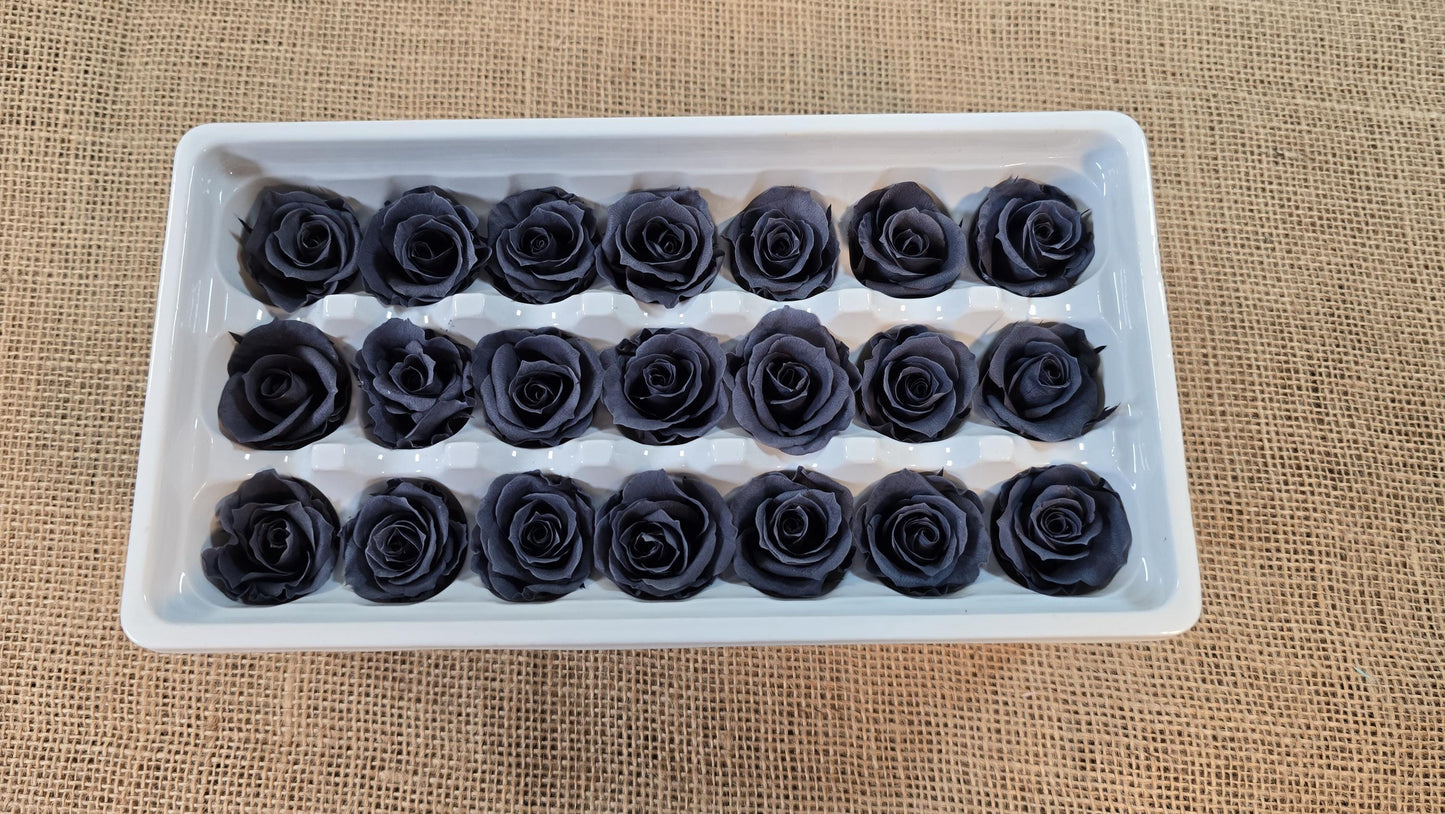 Black Preserved Roses - 21 Pack - Wedding, Prom, Christmas