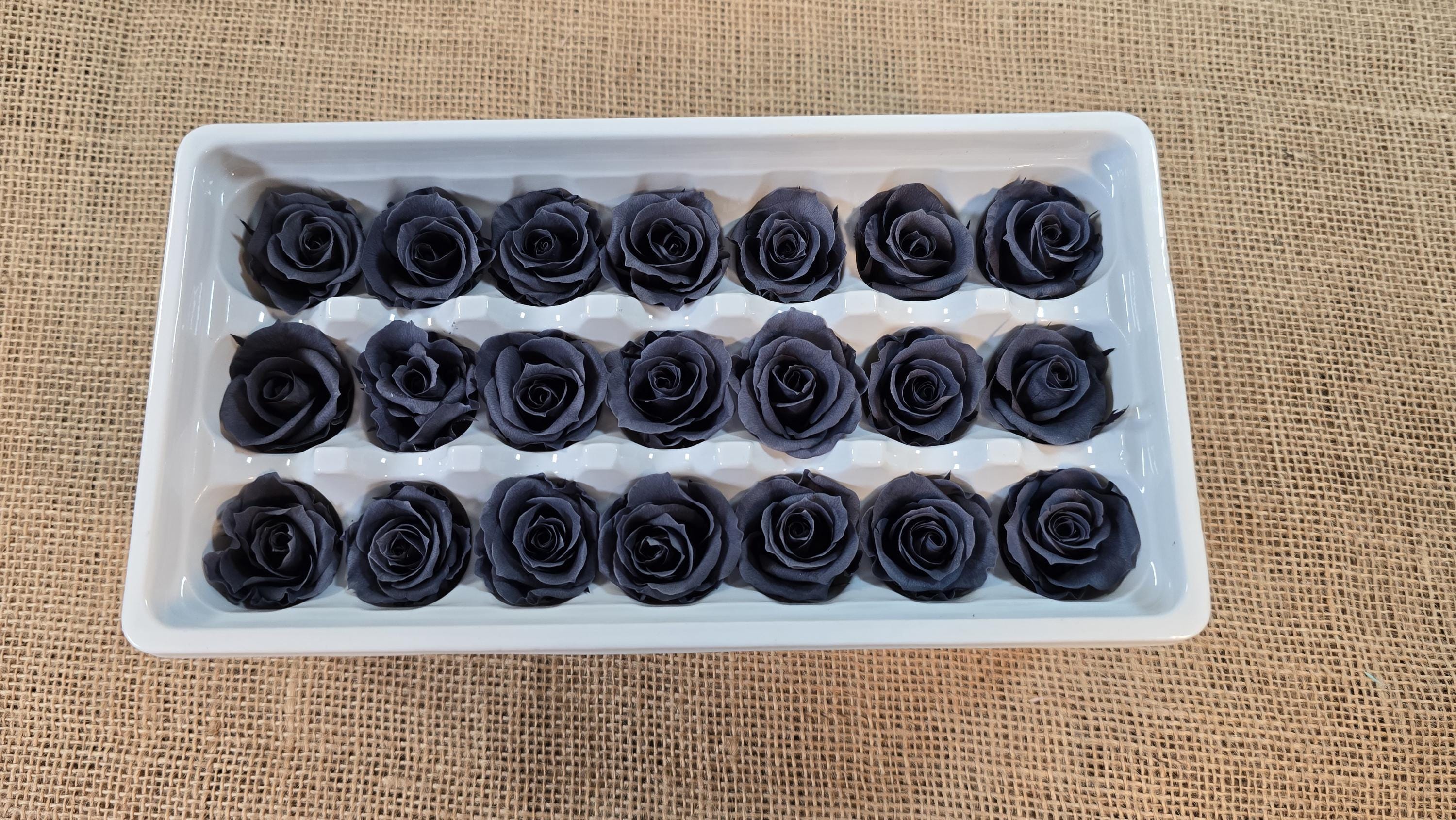 Black Preserved Roses - 21 Pack - Wedding, Prom, Christmas