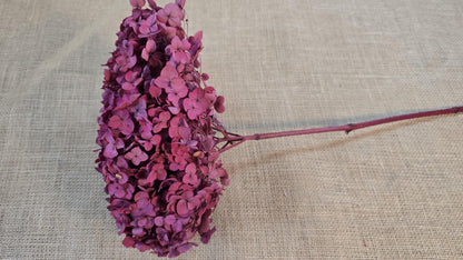 Rose Red Preserved Hydrangea: Wedding Flowers, 18-20" Tall