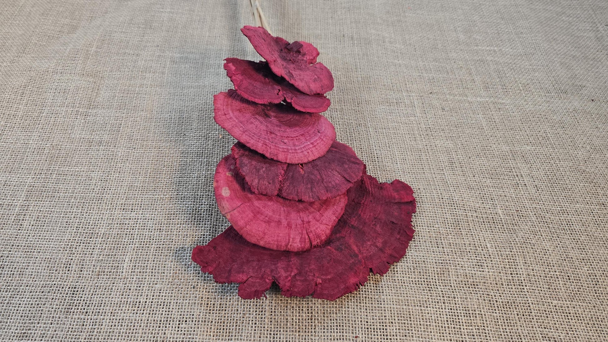 Dried Mushroom Bouquet - Wedding Flowers - Holiday Decor