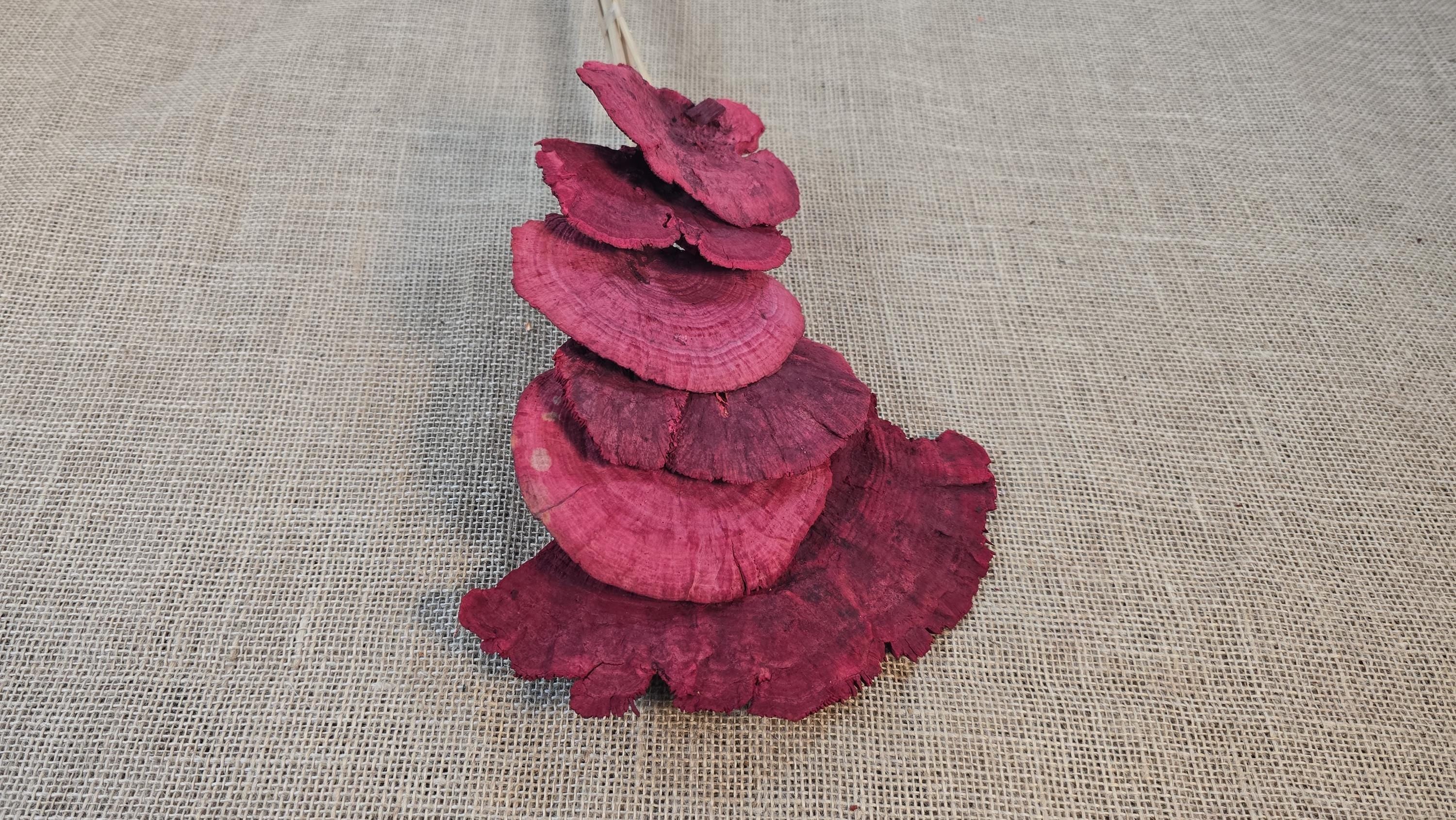 Dried Mushroom Bouquet - Wedding Flowers - Holiday Decor