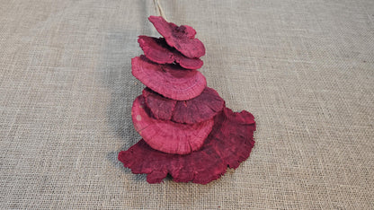Dried Mushroom Bouquet - Wedding Flowers - Holiday Decor