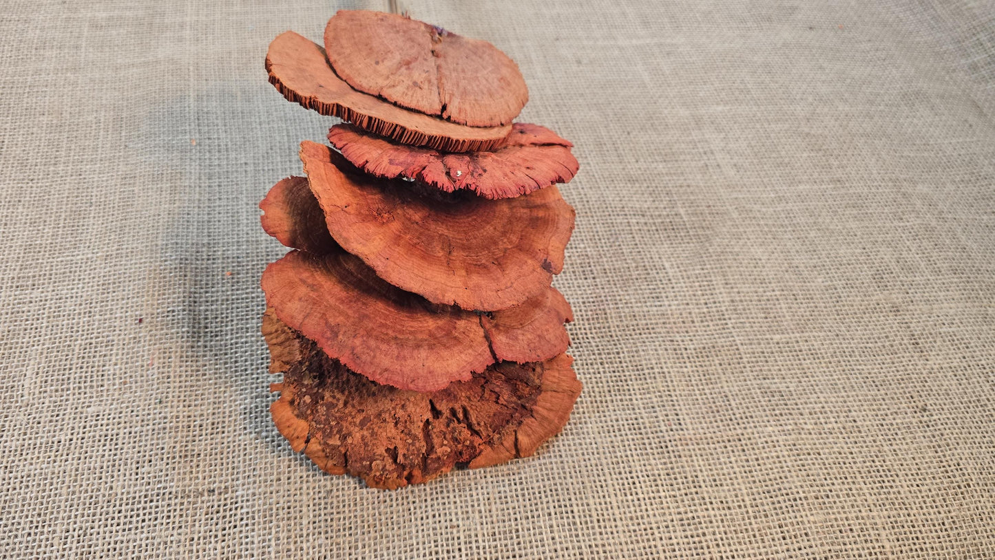 Dried Mushroom Bouquet - Wedding Flowers - Holiday Decor