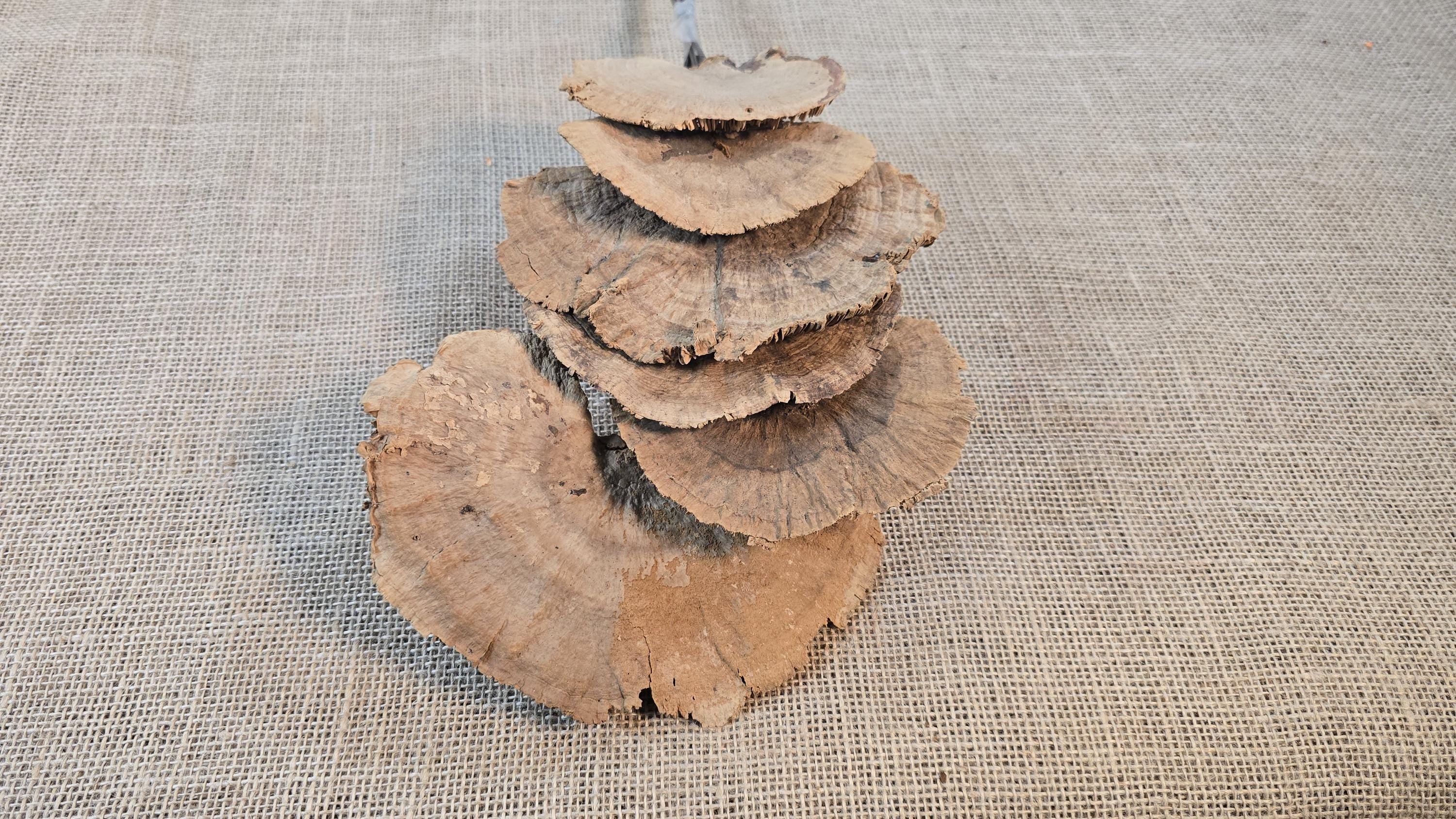 Dried Mushroom Bouquet - Wedding Flowers - Holiday Decor
