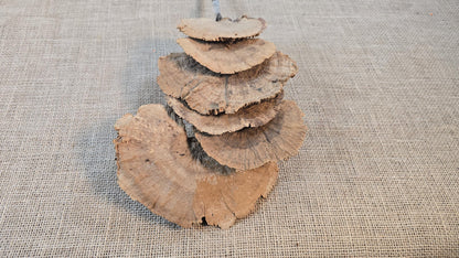 Dried Mushroom Bouquet - Wedding Flowers - Holiday Decor