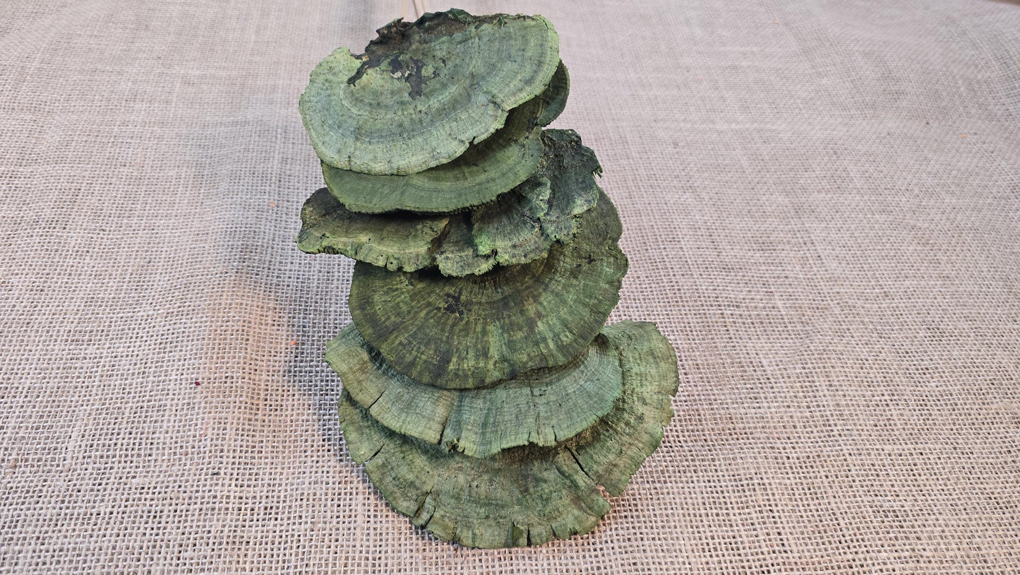 Dried Mushroom Bouquet - Wedding Flowers - Holiday Decor