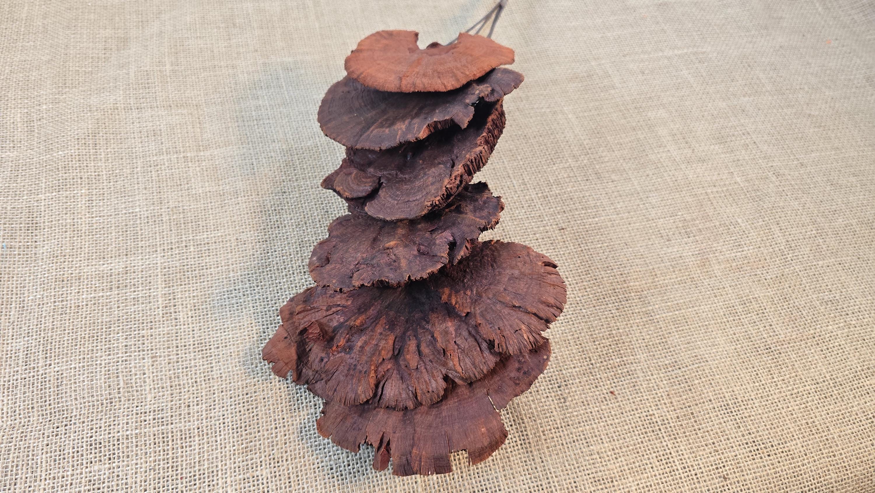 Dried Mushroom Bouquet - Wedding Flowers - Holiday Decor