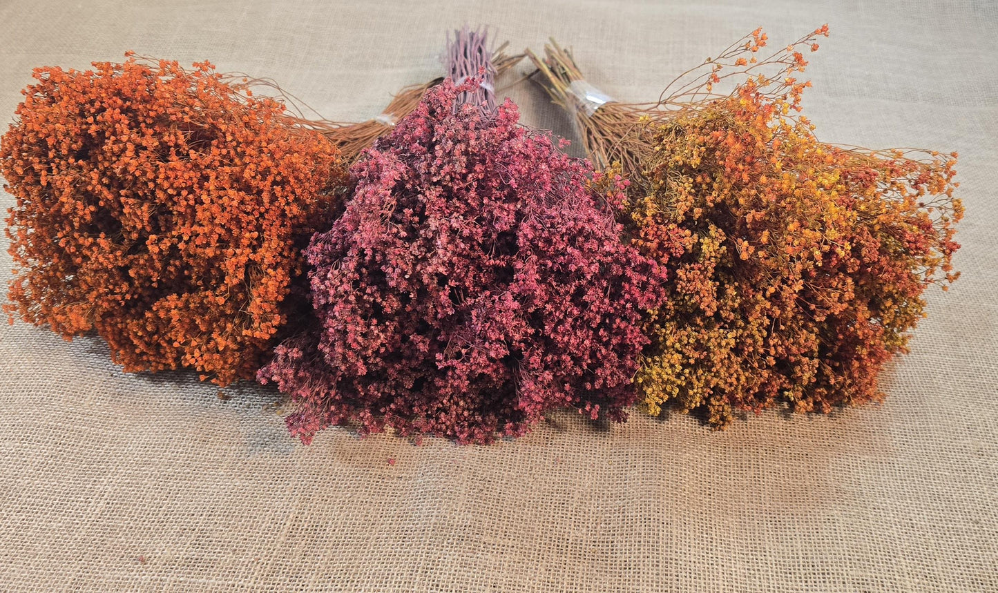 Dried Broom Bloom Bundle: Natural Floral Wedding Decor, 20"