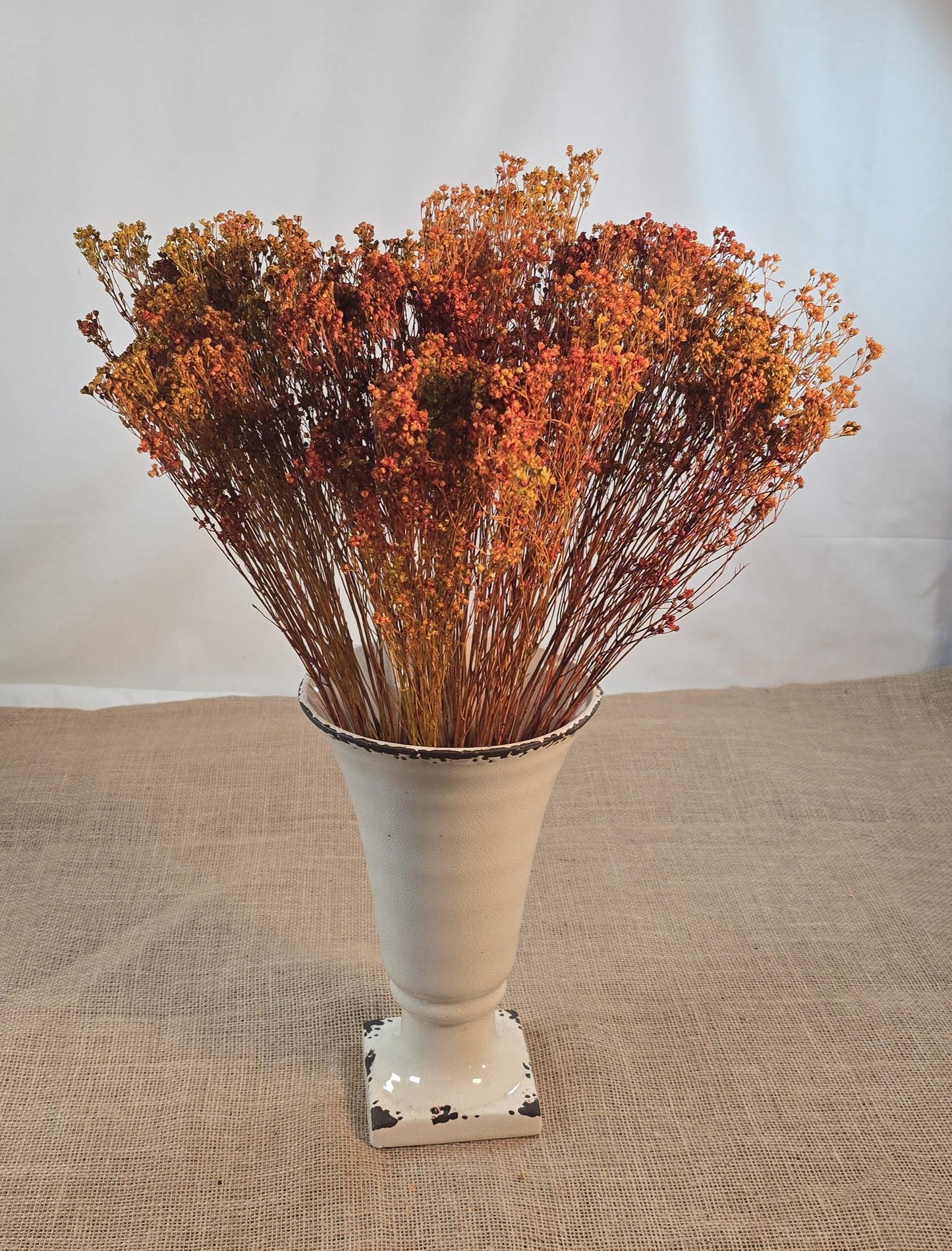 Dried Broom Bloom Bundle: Natural Floral Wedding Decor, 20"