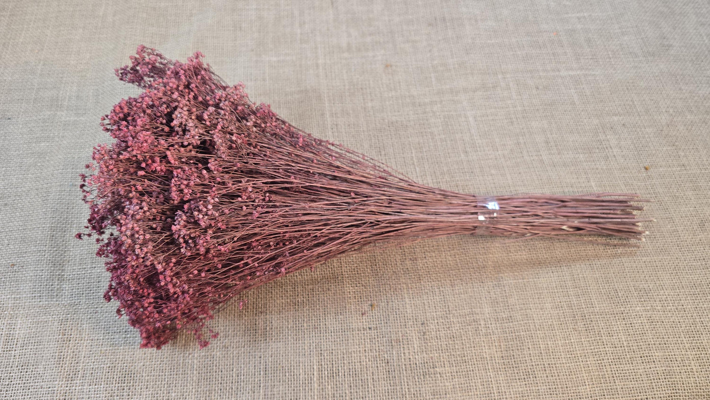 Dried Broom Bloom Bundle: Natural Floral Wedding Decor, 20"