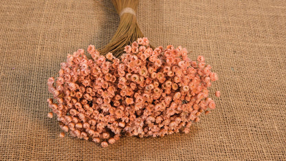 Pastel Dried Star Flowers: Wedding & Home Decor, 12" Tall